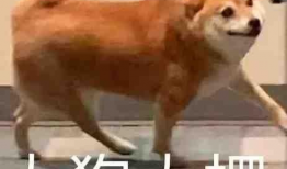 吃瓜新鲜爆料是真的吗,真相揭秘，是真是假？